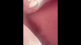 游戏前我的猫