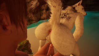 Island Encounters