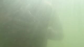 和我一起在海里游泳！